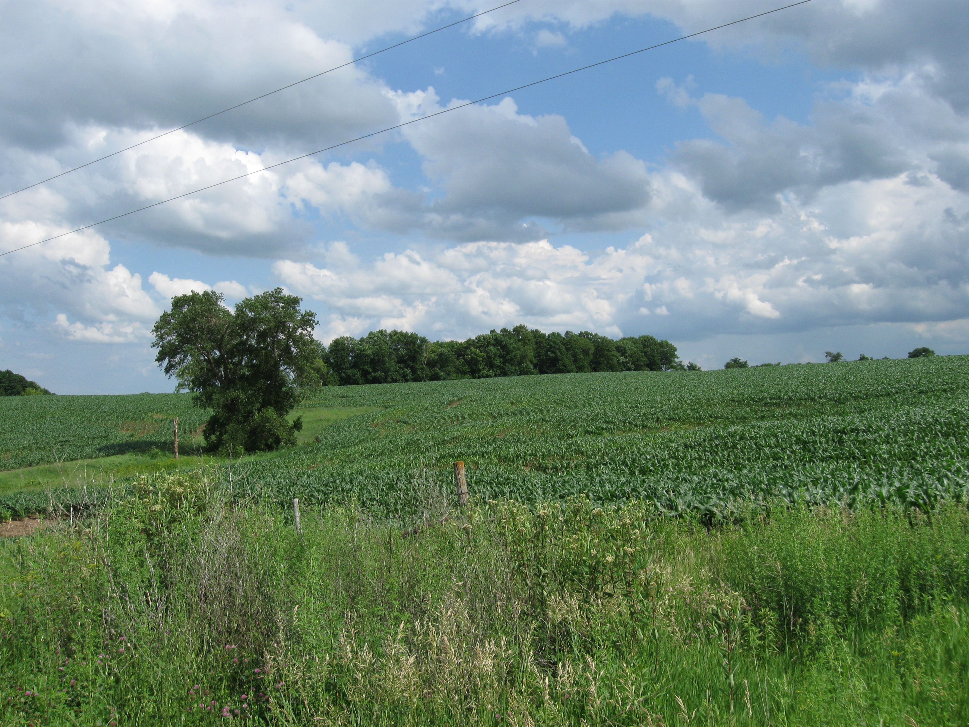 Northeast Iowa Farms for Sale