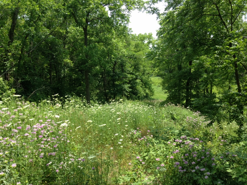 Northeast Iowa Farms for Sale